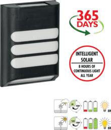 Rackhams Rana Intelligent Solar LED Wall Light