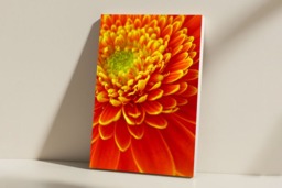 Rackhams Gerbera Delight - Framed Print 16 x 12 inch - thumbnail 2