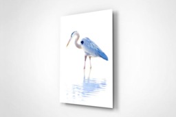 Rackhams Eyes on Blue - Framed Print 20 x 16 inch - thumbnail 3