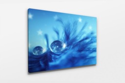 Rackhams Star Drops - Framed Print 16 x 12 inch - thumbnail 3