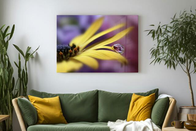 Rackhams Daisy Dew - Framed Print 30 x 20 inch - image 1