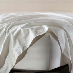 Rackhams White 600 Thread Count Egyptian Cotton Flat Sheet - Single - thumbnail 1