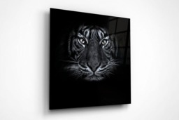 Rackhams Tiger Eyes - Framed Print 16 x 16 inch - thumbnail 3