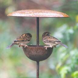 Rackhams Rusty Bird Feeder Stake - Medium - 2m Height - thumbnail 1