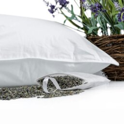 Rackhams Super Microfibre Lavender Pillow with Dried Lavender Insert Extra Fill - thumbnail 6