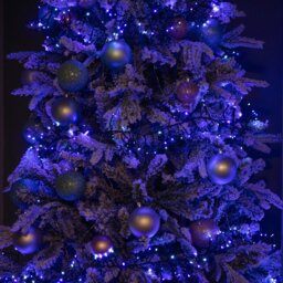 Rackhams 12.4m 960 LED Christmas Cluster Multi-Action String Lights with Timer in Blue, Purple & White - thumbnail 6
