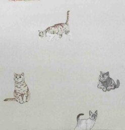 Rackhams Purrrfect Reversible Duvet Cover Set Cats and Stripes Bedding Natural - Natural - Double - thumbnail 3