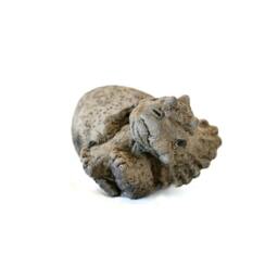 Rackhams Small Stone Cast Triceratops Garden Sculpture Dinosaur Animal Statue - thumbnail 6
