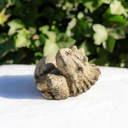 Rackhams Small Stone Cast Triceratops Garden Sculpture Dinosaur Animal Statue - thumbnail 2