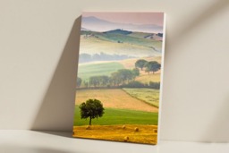 Rackhams Tuscan Fields - Framed Print 30 x 20 inch - thumbnail 2