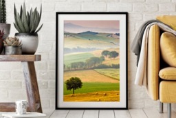 Rackhams Tuscan Fields - Framed Print 30 x 20 inch - thumbnail 1