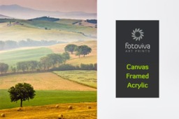 Rackhams Tuscan Fields - Framed Print 30 x 20 inch - thumbnail 4
