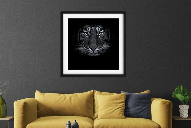 Rackhams Tiger Eyes - Framed Print 20 x 20 inch - image 1