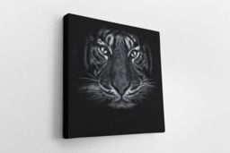 Rackhams Tiger Eyes - Framed Print 20 x 20 inch - thumbnail 2