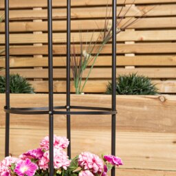Rackhams 1.9m Metal Garden Patio Obelisk Trellis for Climbing Plants - thumbnail 5