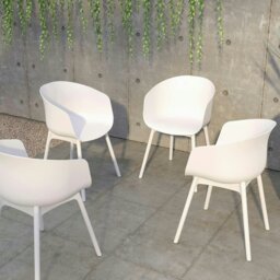 Rackhams York xl Dining Chair in White - 2 pieces - thumbnail 3