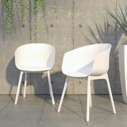 Rackhams York xl Dining Chair in White - 2 pieces