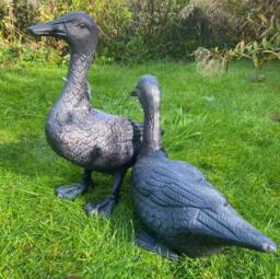 Rackhams Pair of Ducks Garden Sculpture Cast Aluminium Ornament - Cast Aluminium - Bronze - Sculpture - thumbnail 5