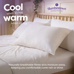Rackhams Wonderful Wool Firm Support Pillow - Cover: 100% Cotton Filling: 100% British Wool - Medium - 4 Pack - thumbnail 3