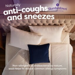 Rackhams Wonderful Wool Firm Support Pillow - Cover: 100% Cotton Filling: 100% British Wool - Medium - 4 Pack - thumbnail 4