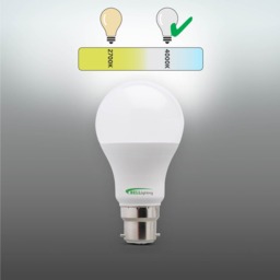 Rackhams B22 Bayonet LED GLS 8.1W Energy Saving Light Bulbs - Pack of 3 - thumbnail 3