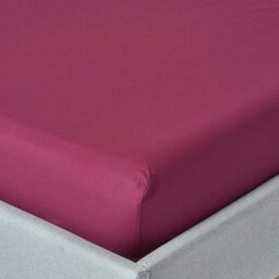 Rackhams Crisp & Cool 200 TC Egyptian Cotton Percale Fitted Sheet – 46 cm Extra Deep - Plum - King