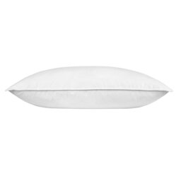 Rackhams Super Microfibre Surround Pillow - thumbnail 3
