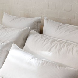 Rackhams Hungarian Goose Down Surround Pillow - thumbnail 1