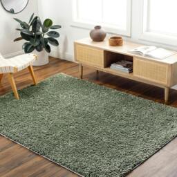 Rackhams Moda Shag-Solid Color Green Plush Soft Pile Rug - 200 x 275 cm