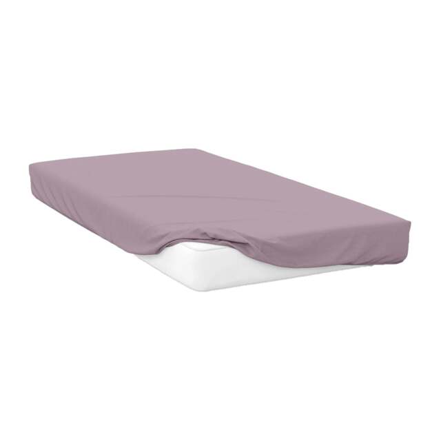 Rackhams 200 Thread Count Egyptian Cotton Fitted Sheet - Mulberry - Mulberry - Kingsize - 100% Egyptian Cotton
