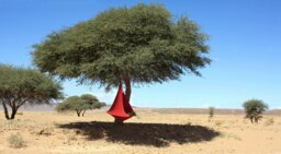 Rackhams Single Cacoon Hanging Chair - Chilli Red - thumbnail 2