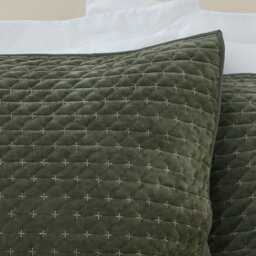 Rackhams Attica Velvet Embroidered Pillow sham Pair Green - Green - thumbnail 2