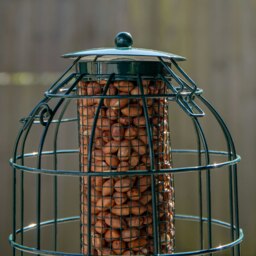 Rackhams Metal Hanging Bird Nut Feeder with Squirrel Guard & Pack of Nut Feed - thumbnail 5