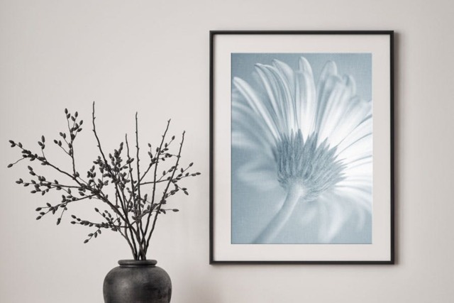 Rackhams Soft Petal - Framed Print 30 x 20 inch - image 1