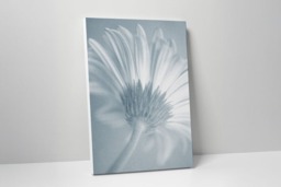 Rackhams Soft Petal - Framed Print 30 x 20 inch - thumbnail 2