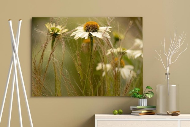 Rackhams Soft Shades of Summer - Framed Print 16 x 12 inch - image 1