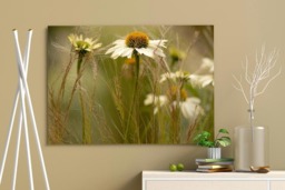 Rackhams Soft Shades of Summer - Framed Print 16 x 12 inch - thumbnail 1