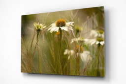 Rackhams Soft Shades of Summer - Framed Print 16 x 12 inch - thumbnail 3
