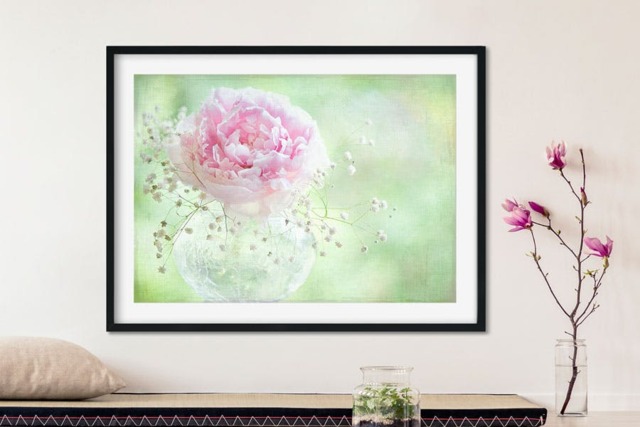 Rackhams Soft on Peonies - Framed Print 20 x 16 inch - image 1