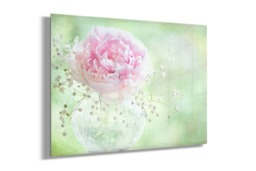 Rackhams Soft on Peonies - Framed Print 20 x 16 inch - thumbnail 4