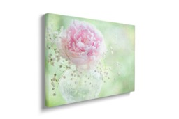 Rackhams Soft on Peonies - Framed Print 20 x 16 inch - thumbnail 2