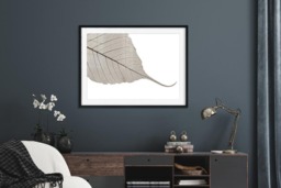 Rackhams Skeleton Leaf - Framed Print 16 x 12 inch - thumbnail 2