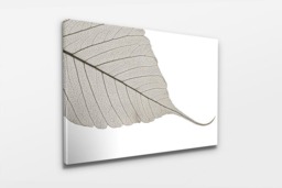 Rackhams Skeleton Leaf - Framed Print 16 x 12 inch - thumbnail 3