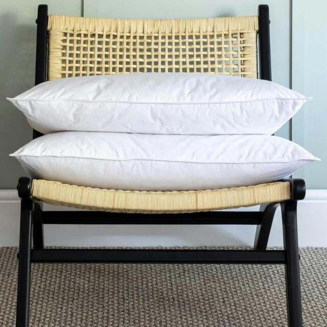 Rackhams Duck Feather & Down Pillow & Soft Touch Protector Bundles - Soft - image 1