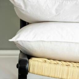 Rackhams Duck Feather & Down Pillow & Soft Touch Protector Bundles - Soft - thumbnail 3