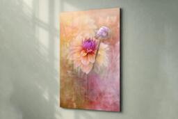 Rackhams Dahlia in Soft Light - Framed Print 30 x 20 inch - thumbnail 2