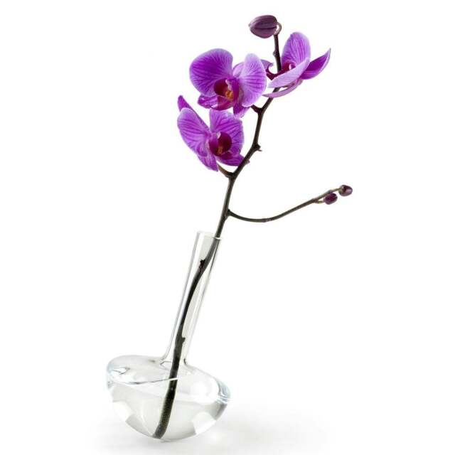 Rackhams - Gauge Vase 17 - Rosalin - image 1