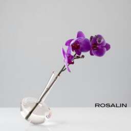 Rackhams - Gauge Vase 17 - Rosalin - thumbnail 3