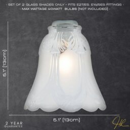 Rackhams Pair of Frosted and Clear Glass Shades with Floral Design for E14 and E27 - thumbnail 6