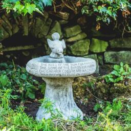 Rackhams Garden Birdbath 'Kiss of Sun' with Bird atop